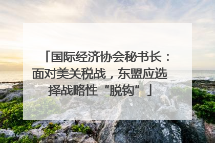 国际经济协会秘书长：面对美关税战，东盟应选择战略性“脱钩”