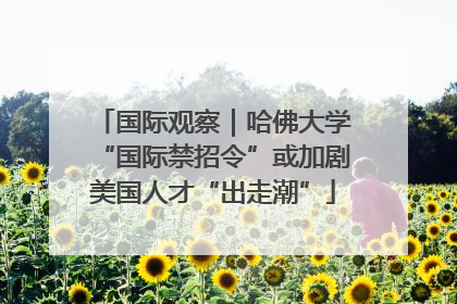 国际观察｜哈佛大学“国际禁招令”或加剧美国人才“出走潮”