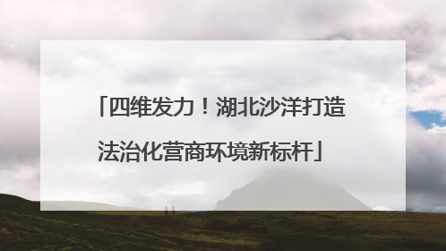 四维发力！湖北沙洋打造法治化营商环境新标杆