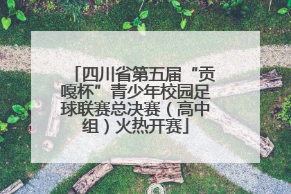 四川省第五届“贡嘎杯”青少年校园足球联赛总决赛（高中组）火热开赛