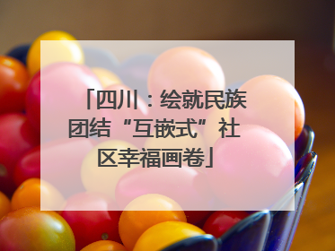 四川：绘就民族团结“互嵌式”社区幸福画卷
