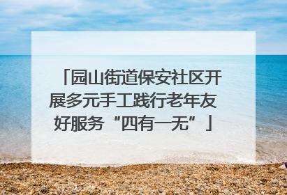 园山街道保安社区开展多元手工践行老年友好服务“四有一无”