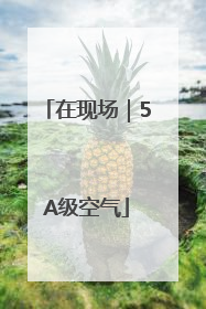 在现场｜5A级空气