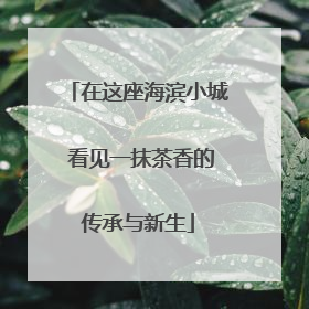 在这座海滨小城 看见一抹茶香的传承与新生