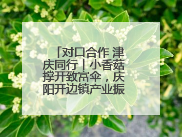 对口合作 津庆同行丨小香菇撑开致富伞，庆阳开边镇产业振兴有“蘑”力