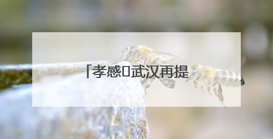 孝感⇋武汉再提速！一交通项目先行用地获批