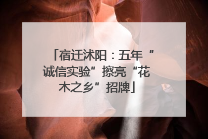 宿迁沭阳：五年“诚信实验”擦亮“花木之乡”招牌