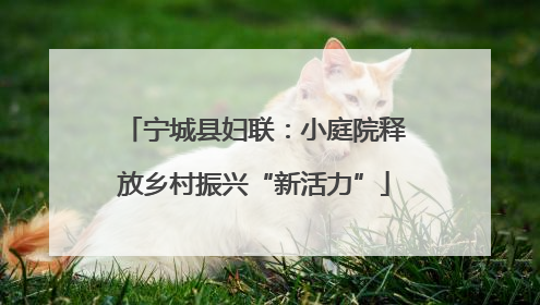 宁城县妇联：小庭院释放乡村振兴“新活力”