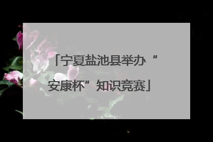 宁夏盐池县举办“安康杯”知识竞赛