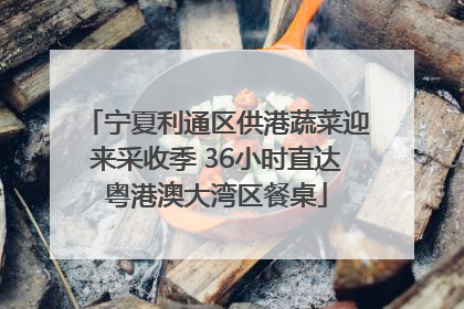 宁夏利通区供港蔬菜迎来采收季 36小时直达粤港澳大湾区餐桌