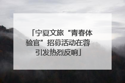 宁夏文旅“青春体验官”招募活动在蓉引发热烈反响