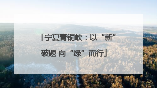 宁夏青铜峡：以“新”破题 向“绿”而行