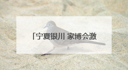 宁夏银川 家博会激活家居消费新动能