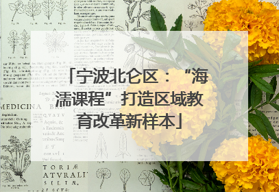 宁波北仑区：“海濡课程”打造区域教育改革新样本