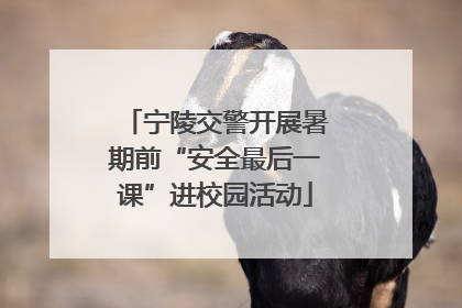 宁陵交警开展暑期前“安全最后一课”进校园活动