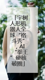 宇树人形机器人全球“格斗秀”，AI“拳王”硬核破圈