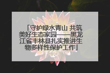 守护绿水青山 共筑美好生态家园——黑龙江省丰林县扎实推进生物多样性保护工作