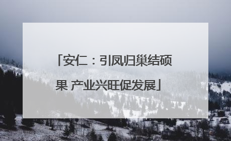 安仁：引凤归巢结硕果 产业兴旺促发展