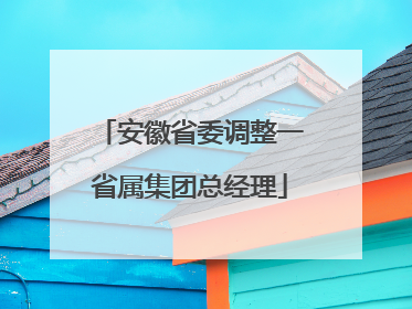 安徽省委调整一省属集团总经理