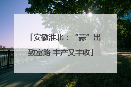 安徽淮北：“蒜”出致富路 丰产又丰收