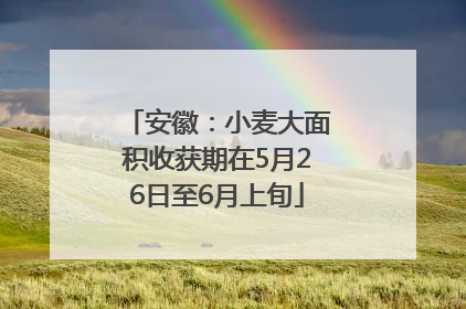 安徽：小麦大面积收获期在5月26日至6月上旬