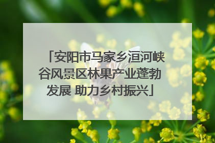 安阳市马家乡洹河峡谷风景区林果产业蓬勃发展 助力乡村振兴