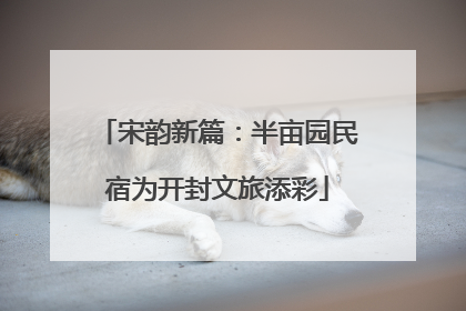 宋韵新篇：半亩园民宿为开封文旅添彩