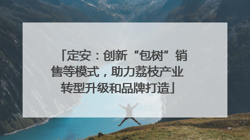定安：创新“包树”销售等模式，助力荔枝产业转型升级和品牌打造