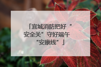 宜城消防把好“安全关”守好端午“安康线”