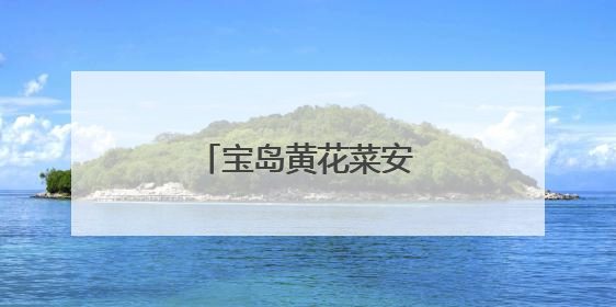 宝岛黄花菜安家尤溪畲乡