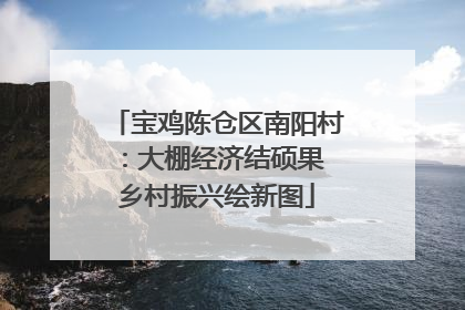 宝鸡陈仓区南阳村：大棚经济结硕果 乡村振兴绘新图