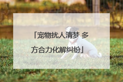 宠物扰人清梦 多方合力化解纠纷