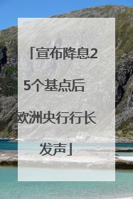宣布降息25个基点后 欧洲央行行长发声