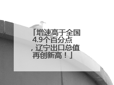 增速高于全国4.9个百分点，辽宁出口总值再创新高！