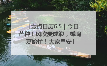 壹点日历6.5｜今日芒种！风吹麦成浪，蝉鸣夏始忙！大家早安
