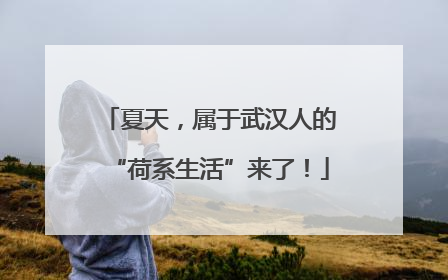 夏天，属于武汉人的“荷系生活”来了！