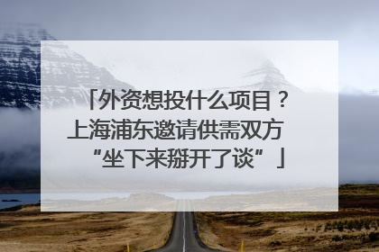 外资想投什么项目？上海浦东邀请供需双方“坐下来掰开了谈”