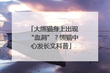 大熊猫身上出现“血洞”？熊猫中心发长文科普