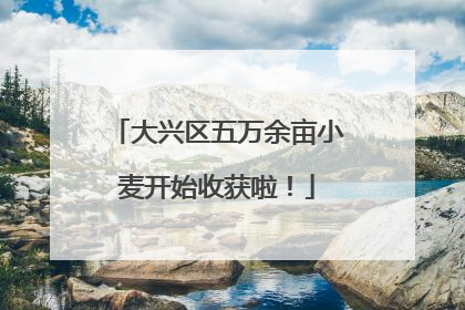 大兴区五万余亩小麦开始收获啦！