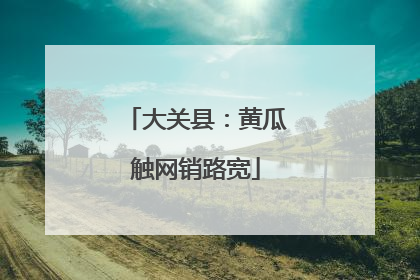 大关县：黄瓜触网销路宽