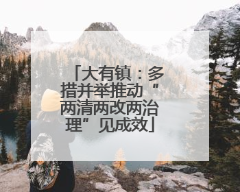 大有镇：多措并举推动“两清两改两治理”见成效