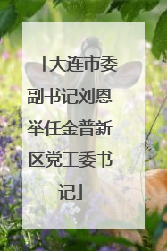 大连市委副书记刘恩举任金普新区党工委书记