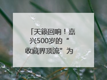 天籁回响！嘉兴500岁的“收藏界顶流”为何再次出圈
