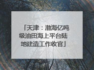 天津：渤海亿吨级油田海上平台陆地建造工作收官