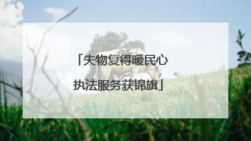 失物复得暖民心 执法服务获锦旗