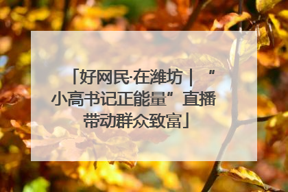 好网民·在潍坊｜“小高书记正能量”直播 带动群众致富