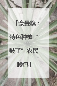 奈曼旗：特色种植“鼓了”农民腰包
