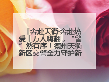 奔赴天衢·奔赴热爱丨万人嗨翻，“警”然有序！德州天衢新区交警全力守护新青年音乐节
