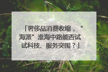 奢侈品消费收缩，“海派”淮海中路能否试试科技、服务突围？