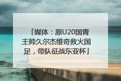 媒体：原U20国青主帅久尔杰维奇救火国足，带队征战东亚杯